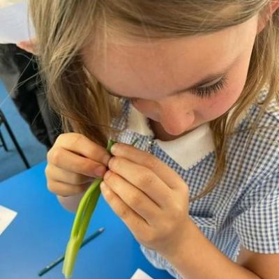 Week Commencing 17th June 2024